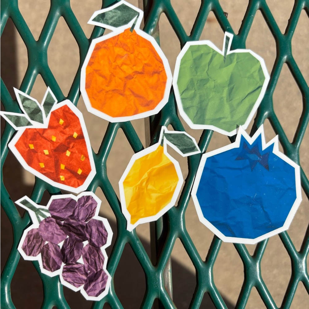 Colorful Fruit Illustration Set